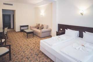 Отель Rediu Hotel & Restaurant Ботошани Стандартный двухместный люкс с 1 кроватью-6