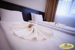 Отель Rediu Hotel & Restaurant Ботошани Двухместный номер Делюкс с 1 кроватью или 2 отдельными кроватями-6