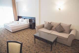 Отель Rediu Hotel & Restaurant Ботошани Стандартный двухместный люкс с 1 кроватью-1