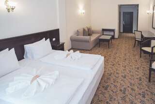 Отель Rediu Hotel & Restaurant Ботошани Стандартный двухместный люкс с 1 кроватью-3